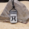 Pisces zodiac necklace, rectangle with glass loop silver dichroic glass pendant