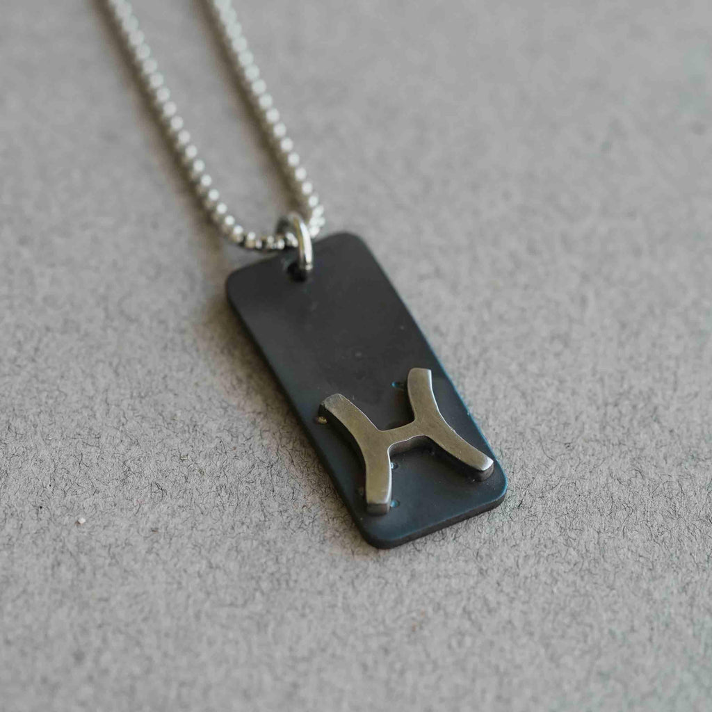 Pisces zodiac necklace, rustic waterproof stainless steel pendant