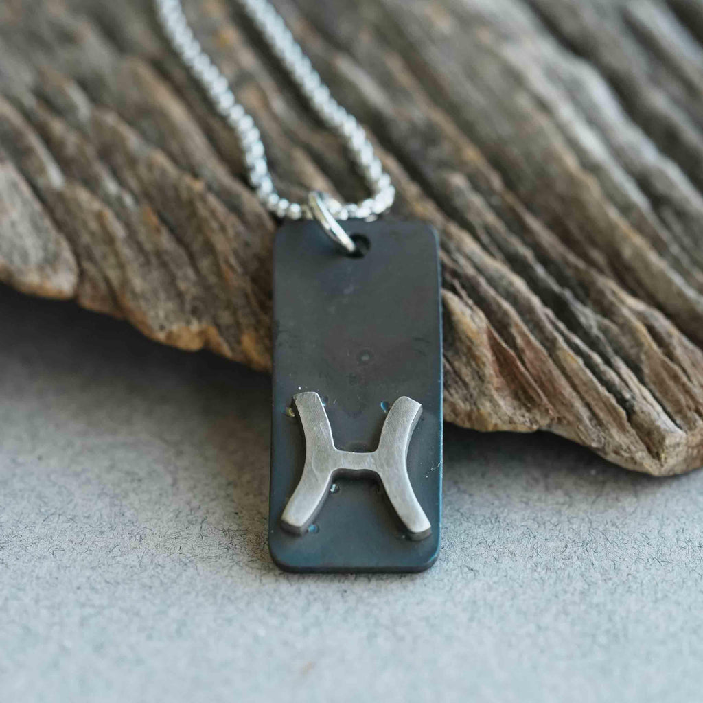 Pisces zodiac necklace, rustic waterproof stainless steel pendant