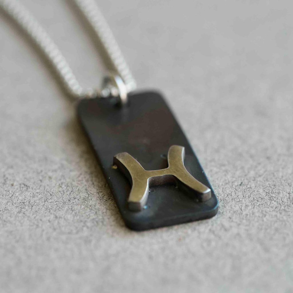 Pisces zodiac necklace, rustic waterproof stainless steel pendant